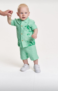 Foto 2 - Modelo Matheus V. Ising